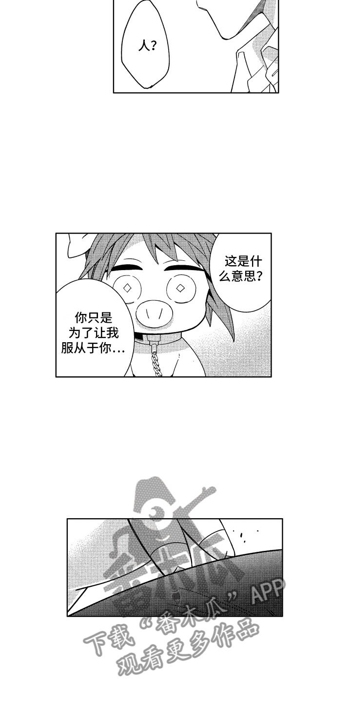 第20章：喜欢的人