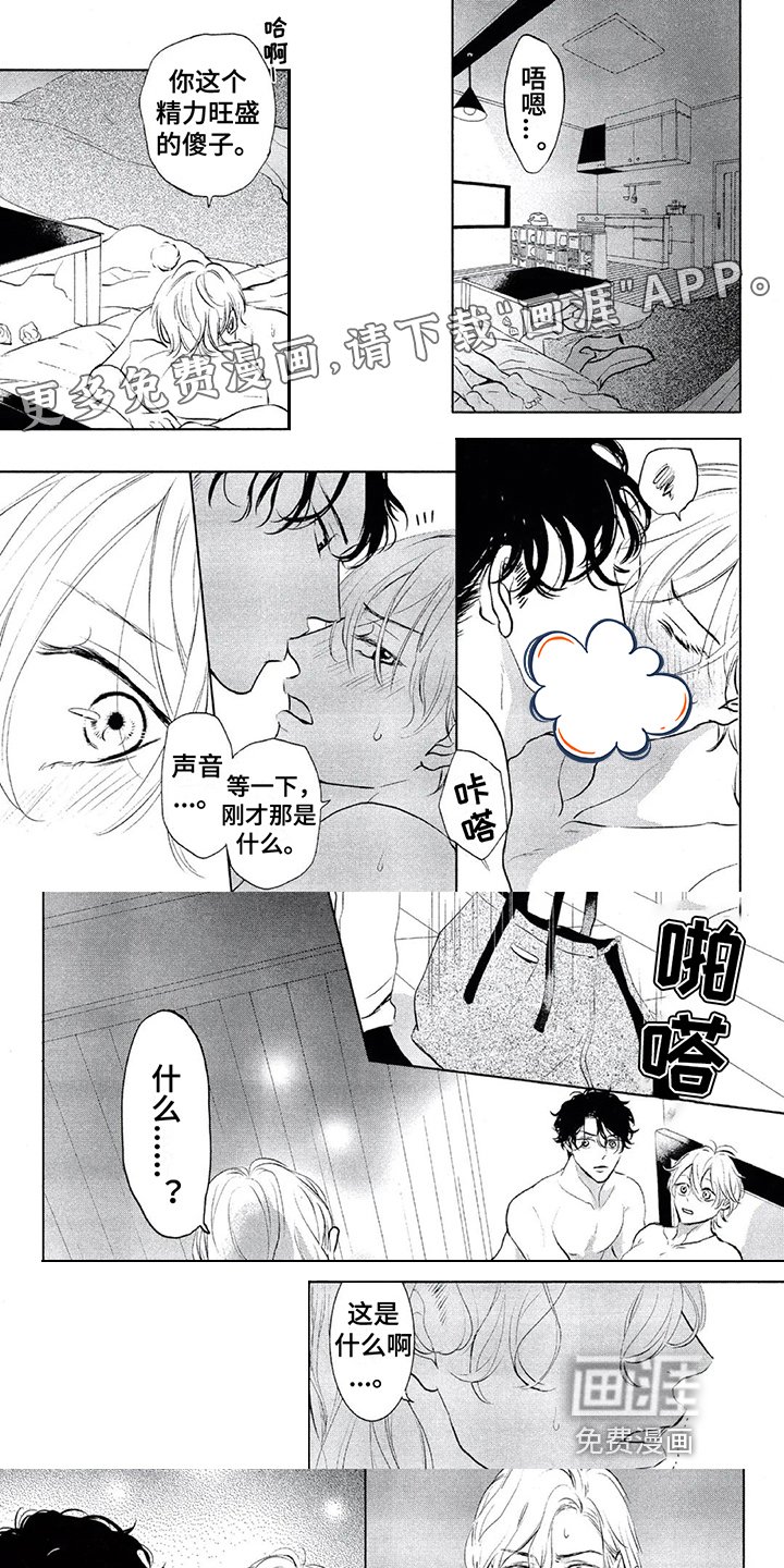 第13章：选择