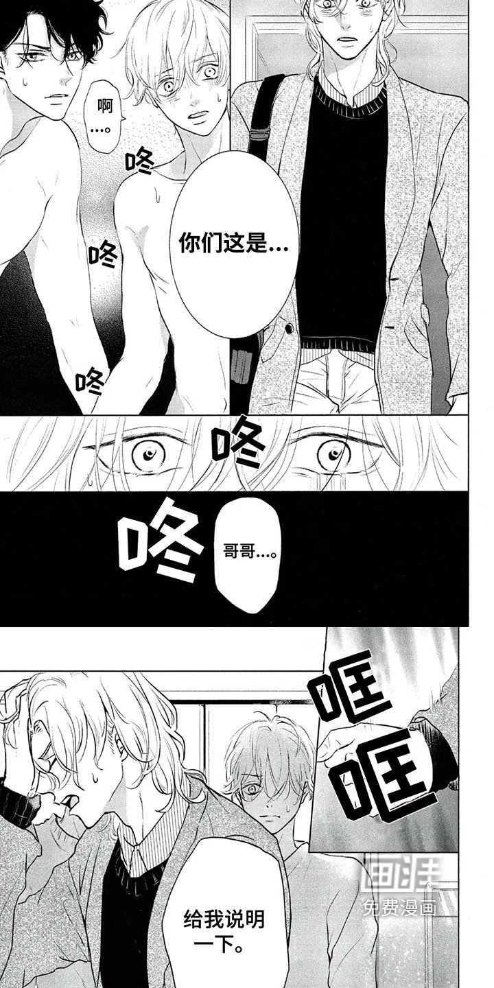 第13章：选择