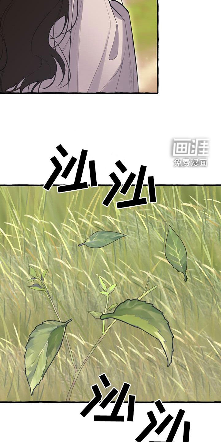 第137章：风水宝地