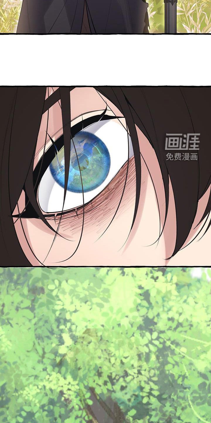 第137章：风水宝地