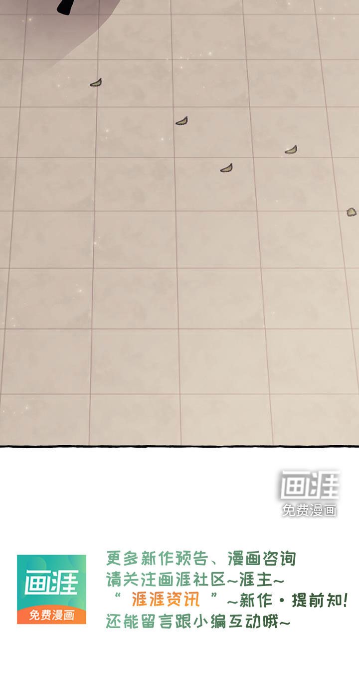 第146章：了结