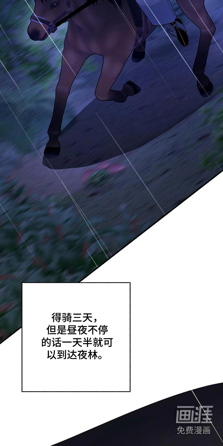 第71章：寻找