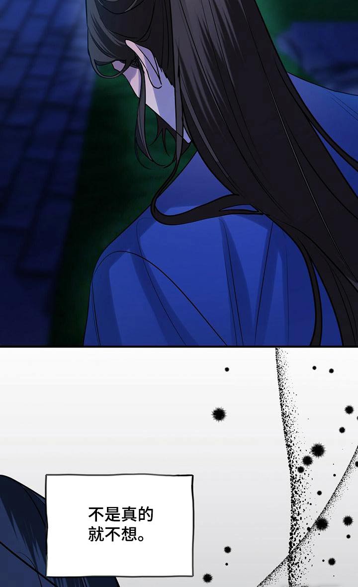 第77章：幻影