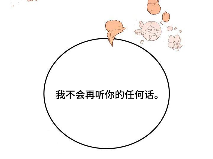 第77章：幻影