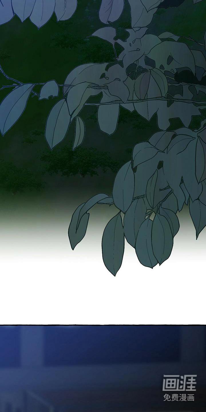 第78章：因为你不是