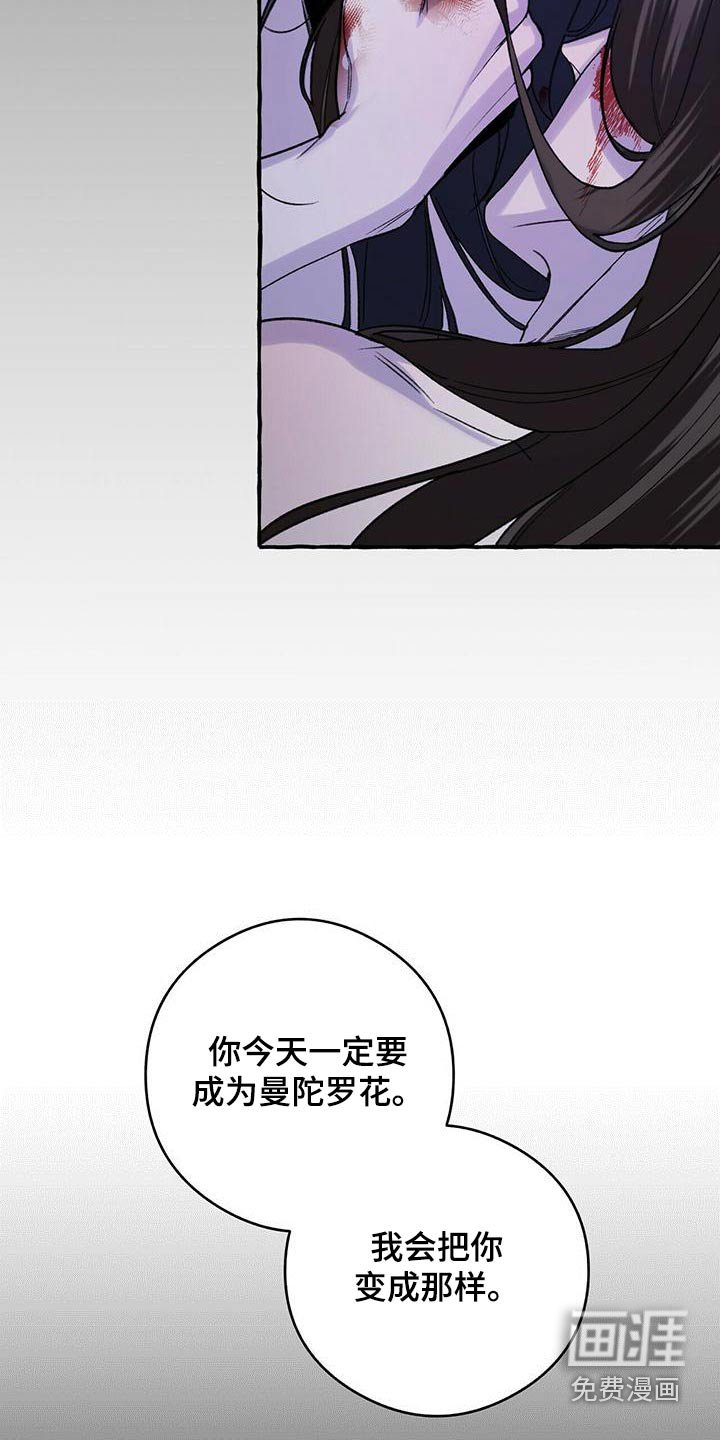 第81章：曾经是