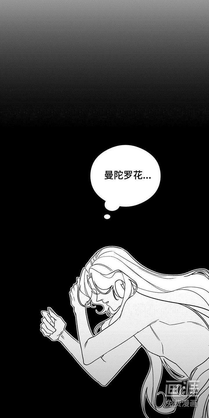 第81章：曾经是