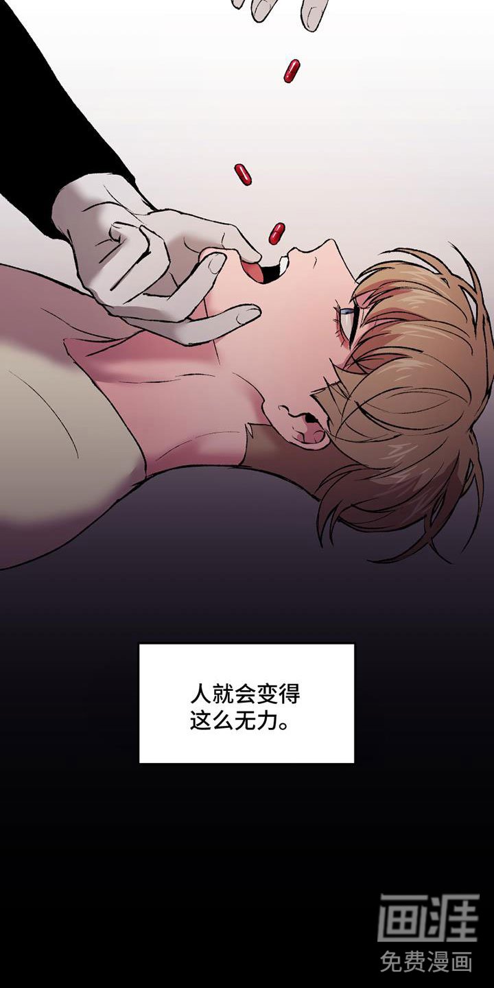 第10章：真假