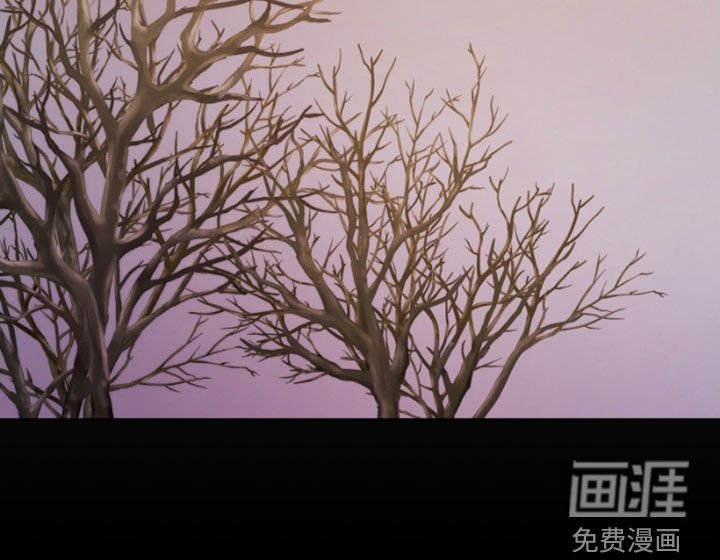 第27章：虚构