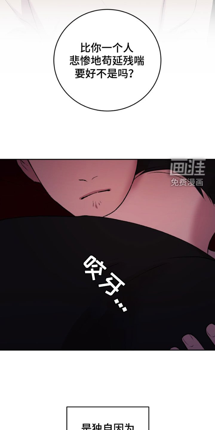 第35章：利用