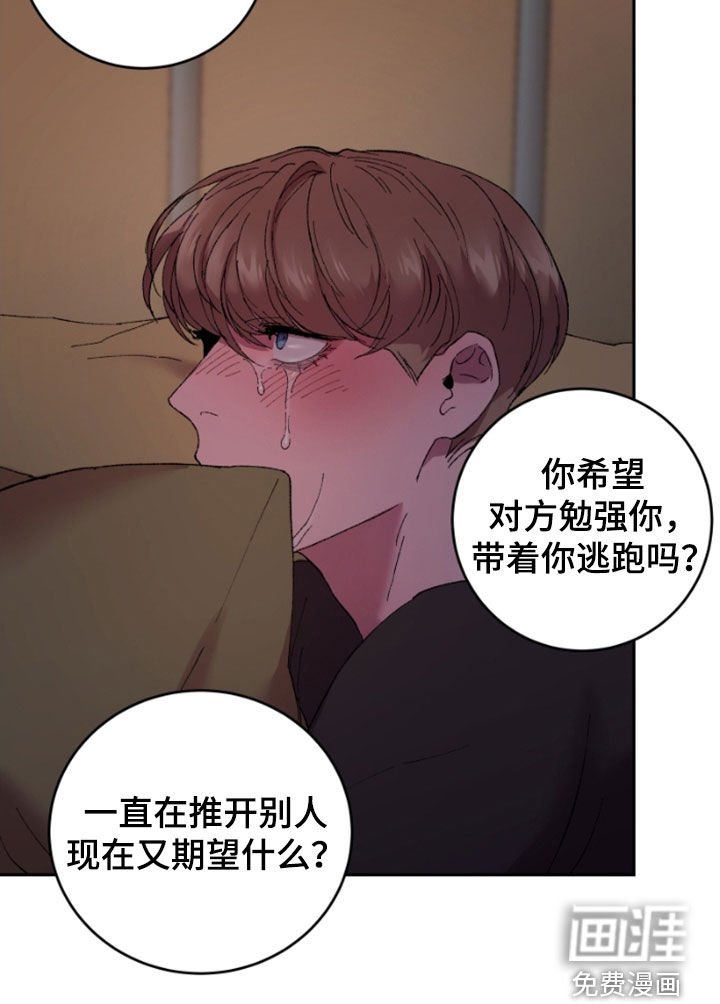 第43章：期待什么