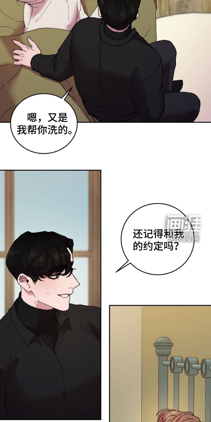 第47章：散步