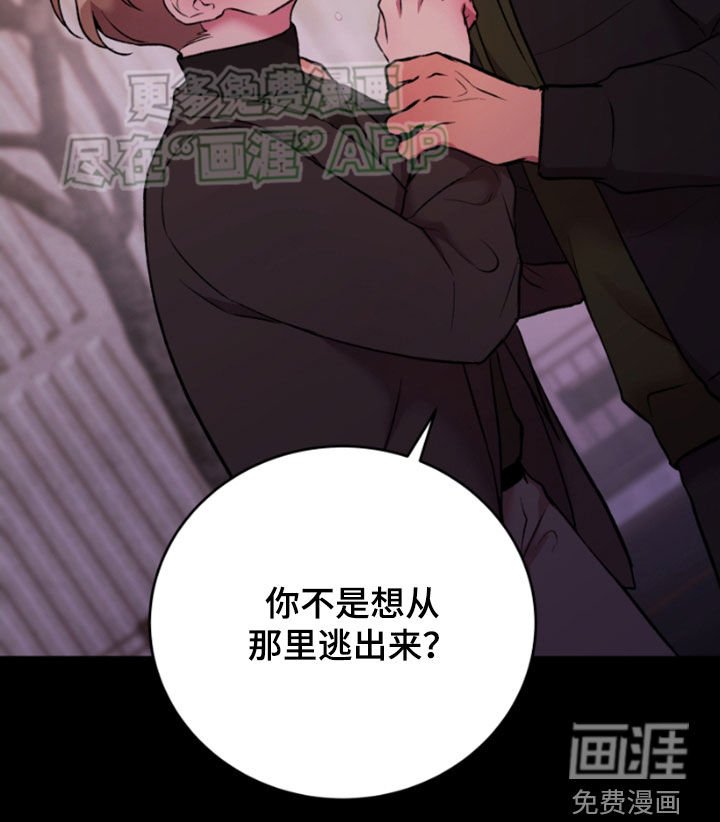 第77章：不可以没有他