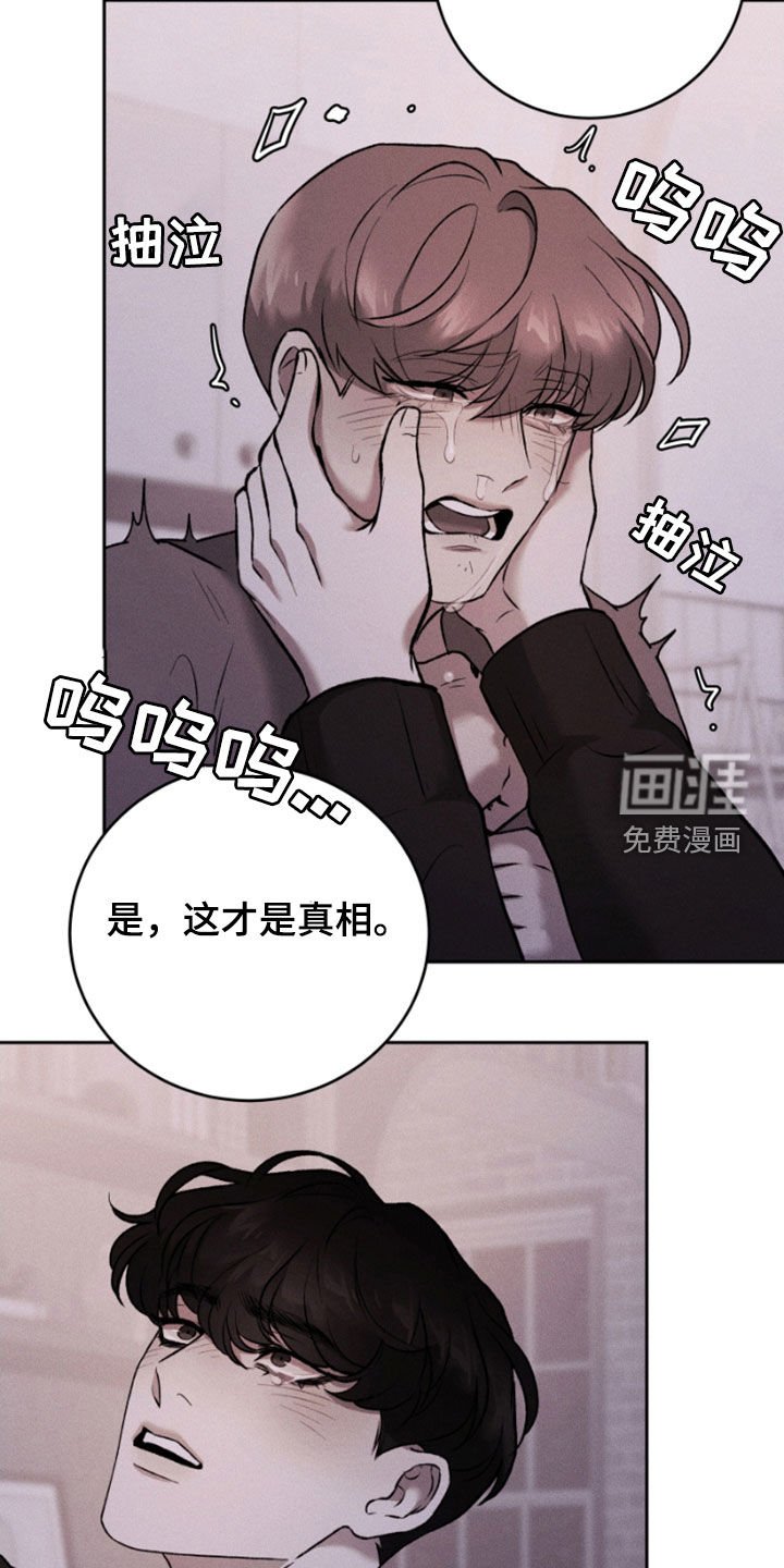 第83章：真相与谎言