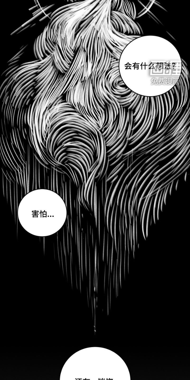 第92章：全都是幻影
