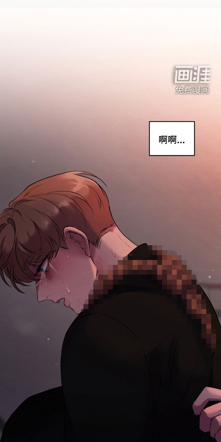 第92章：全都是幻影