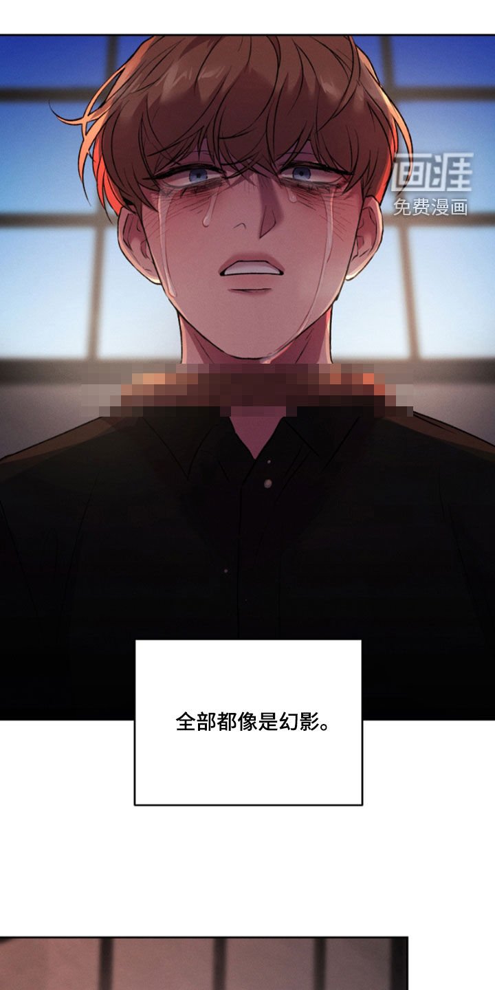 第92章：全都是幻影