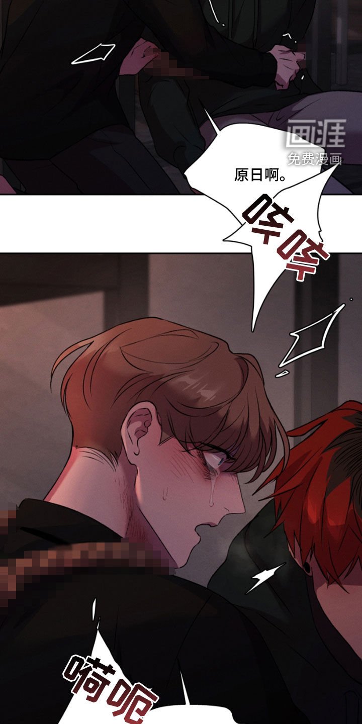 第92章：全都是幻影