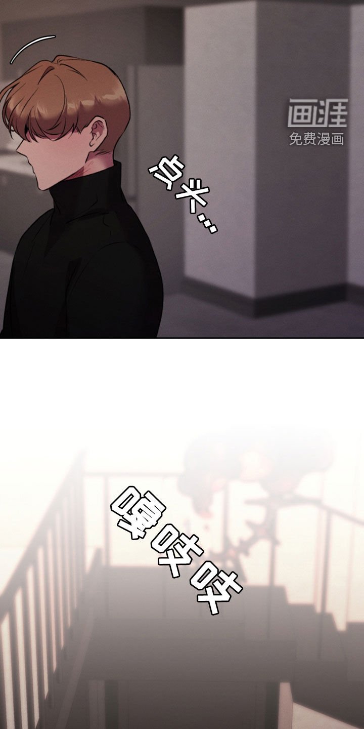 第92章：全都是幻影