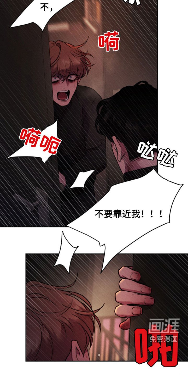 第95章：我最爱你