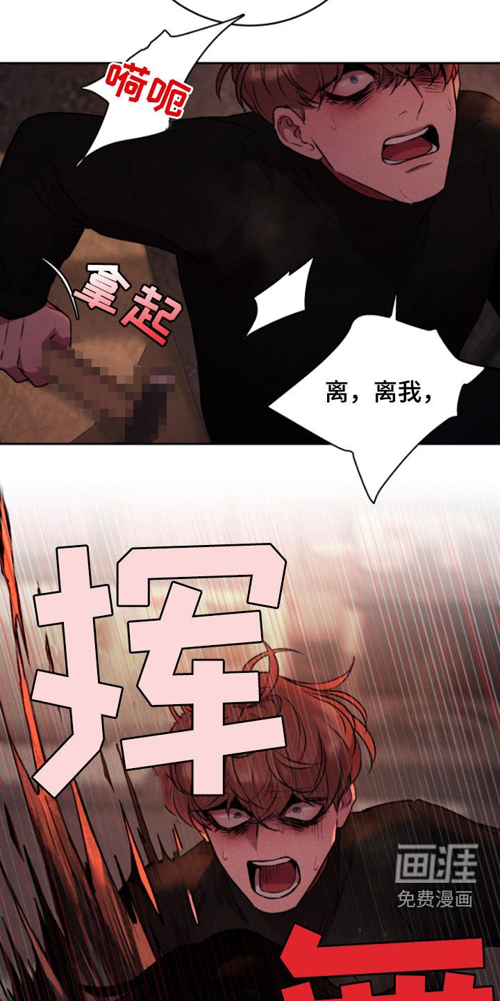 第95章：我最爱你