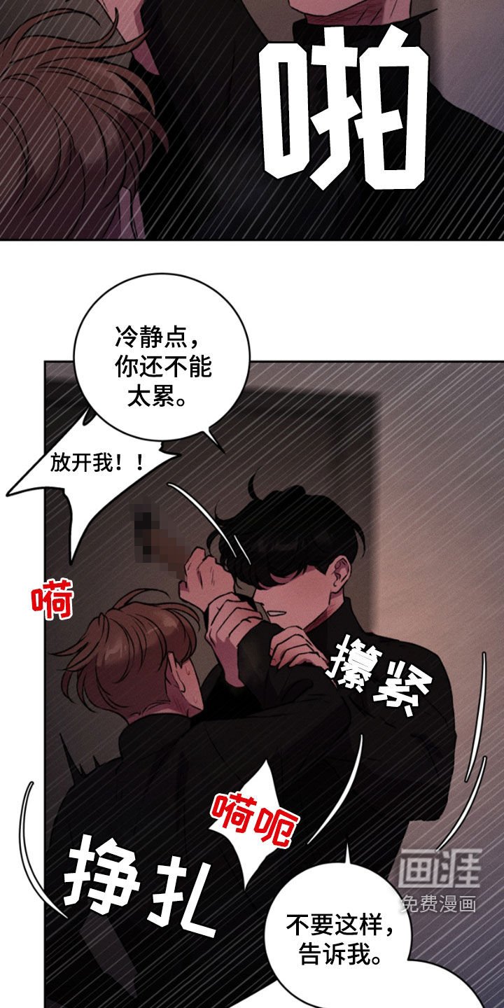 第95章：我最爱你