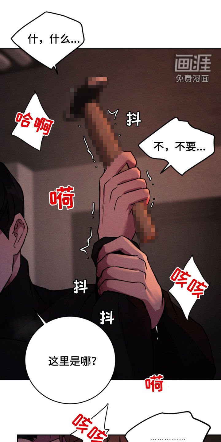 第95章：我最爱你
