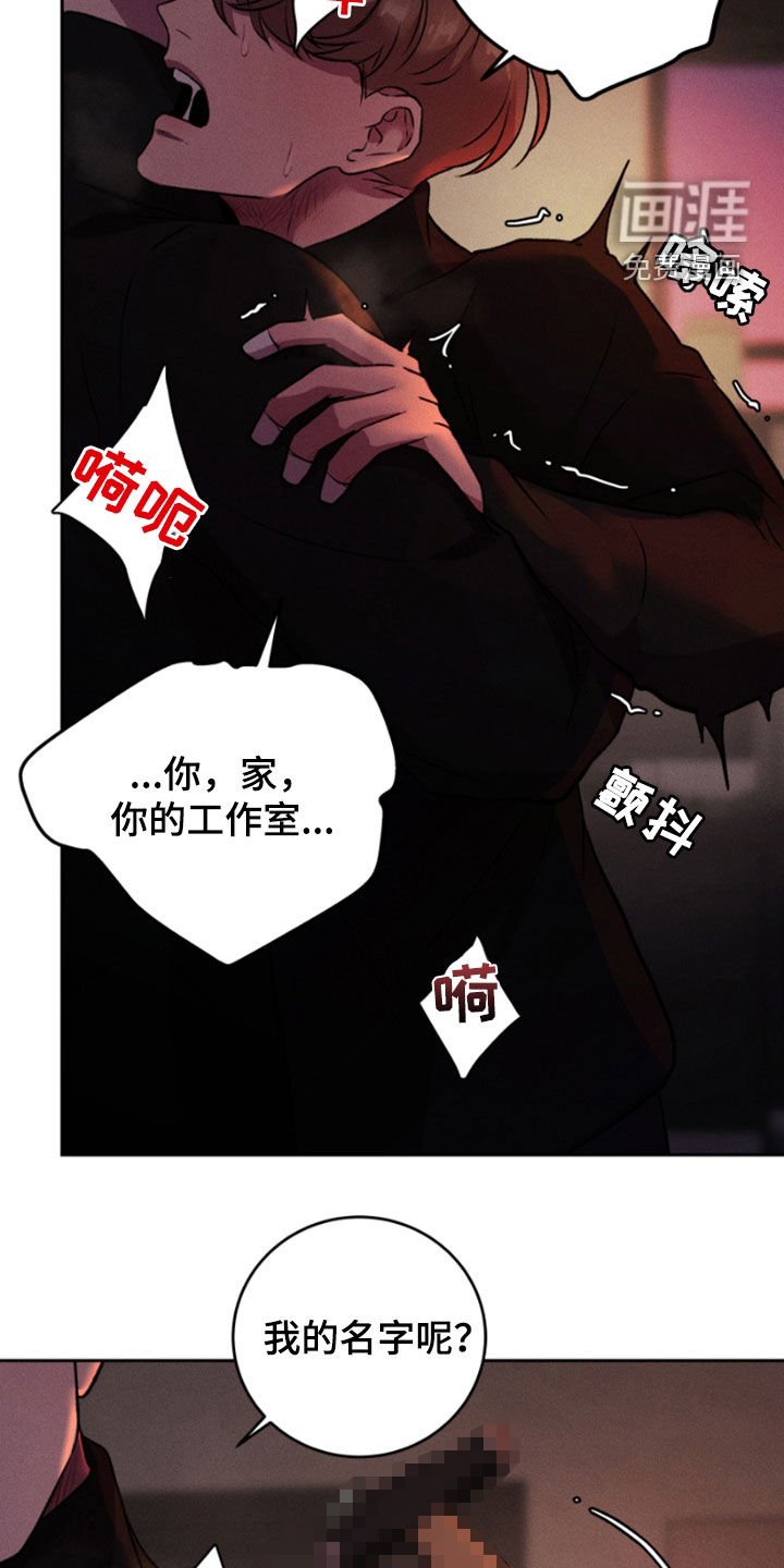 第95章：我最爱你