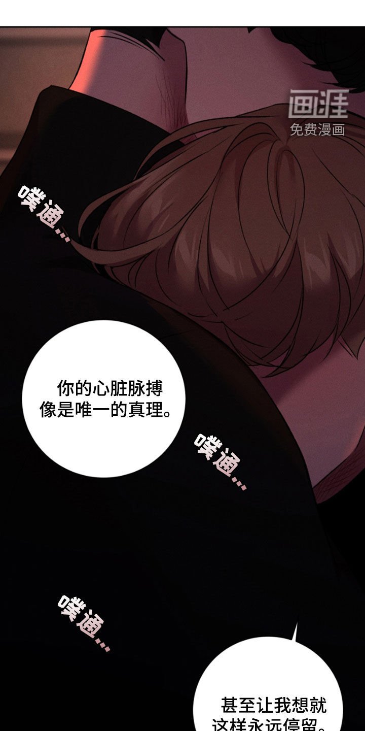 第95章：我最爱你