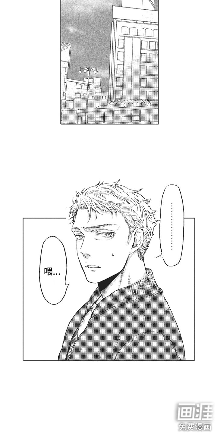 第13章：试探