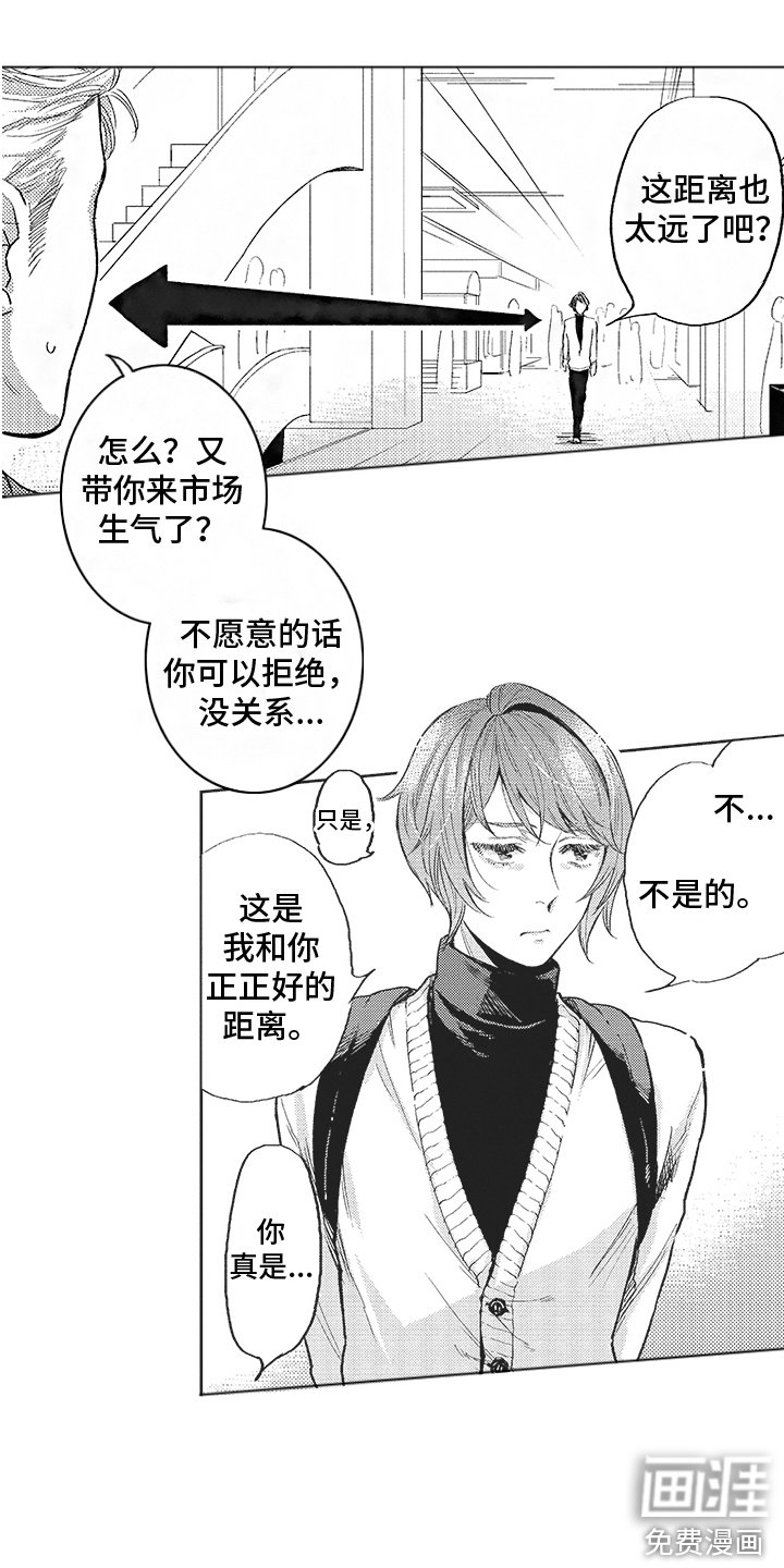 第13章：试探