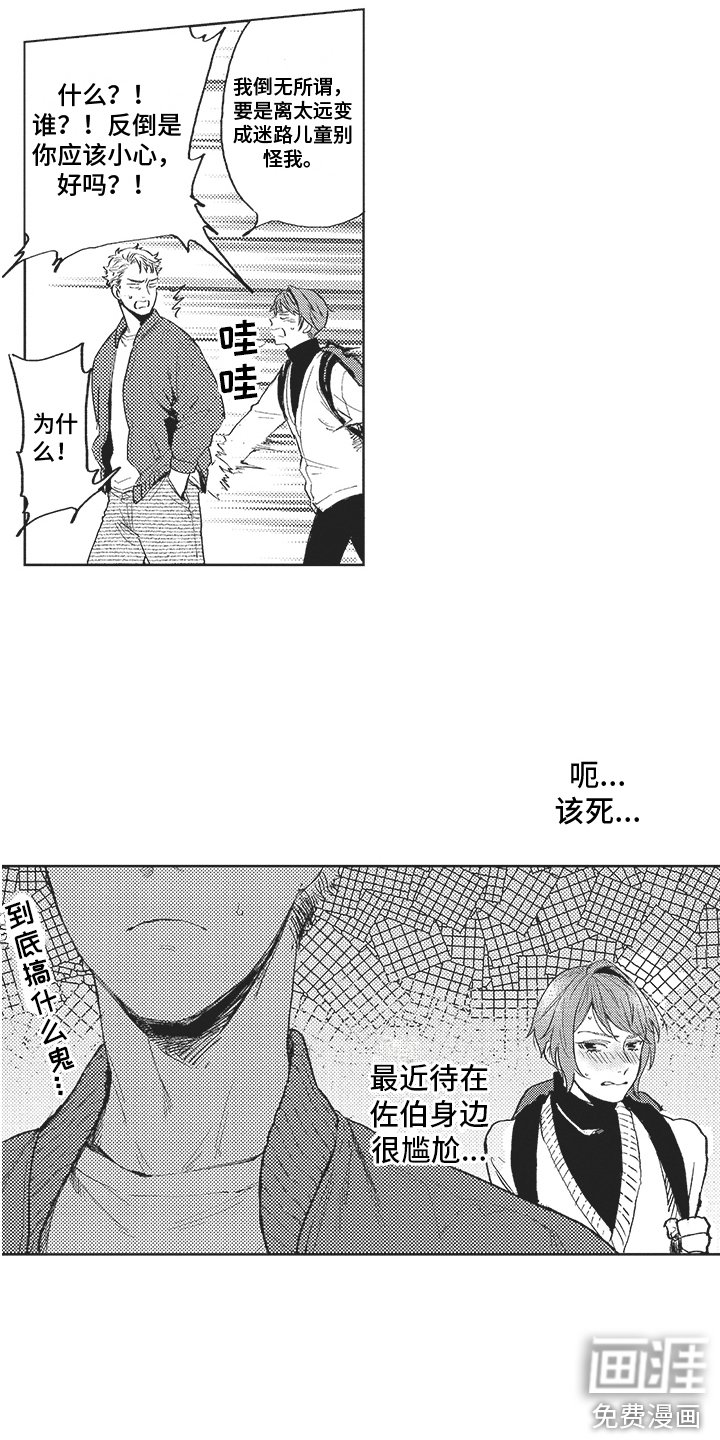第13章：试探