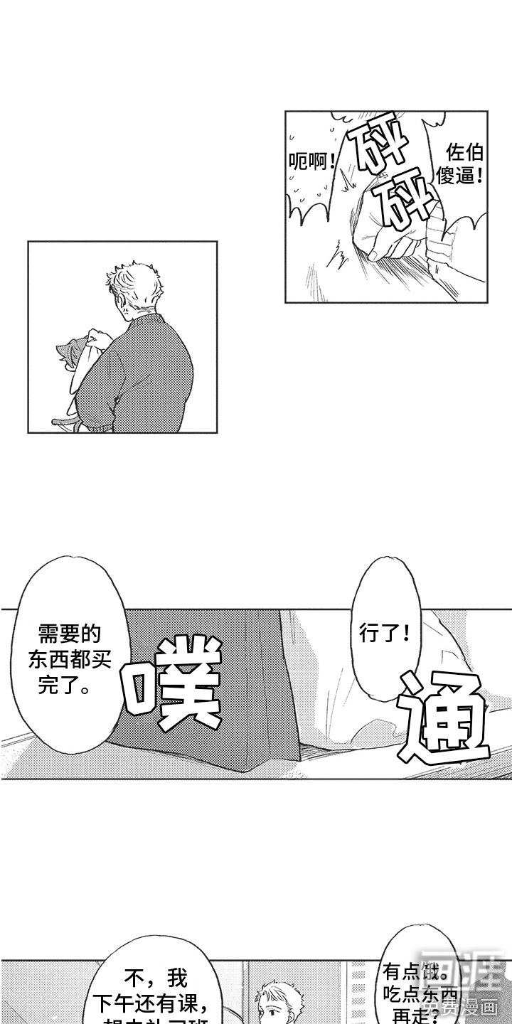 第13章：试探