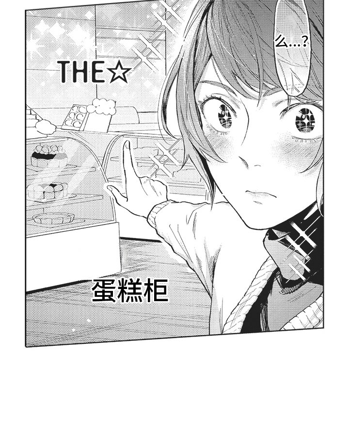 第13章：试探