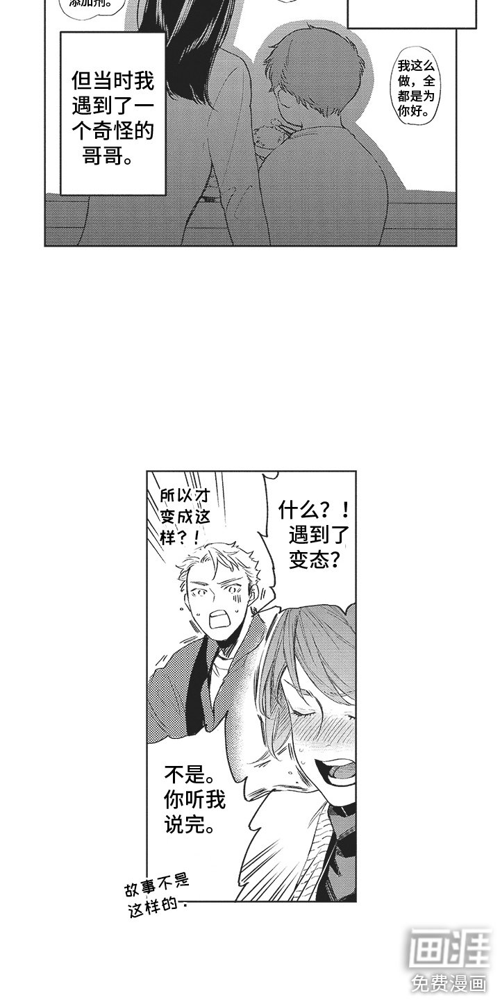第15章：解释