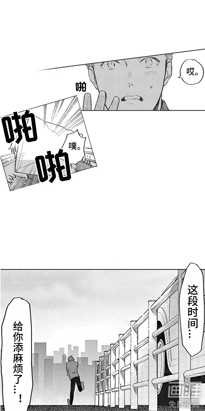 第17章：缘分