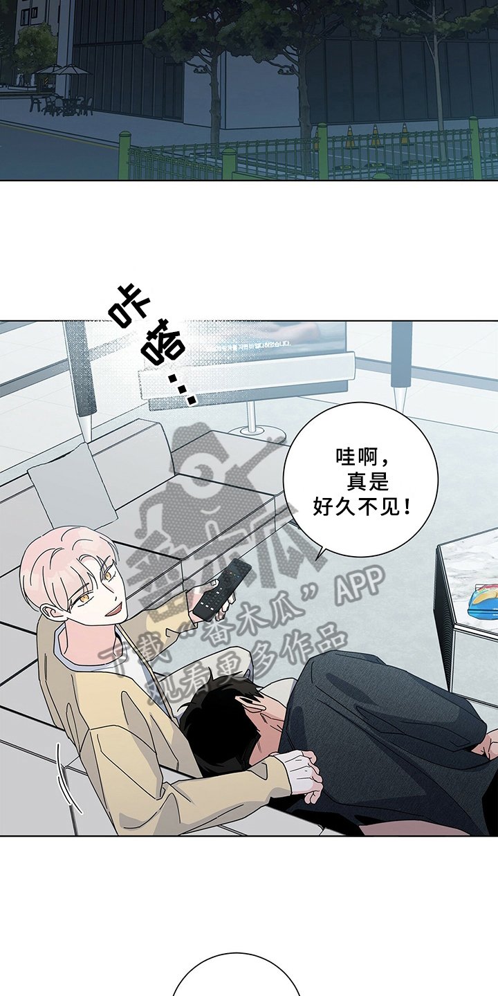 第11章：建议