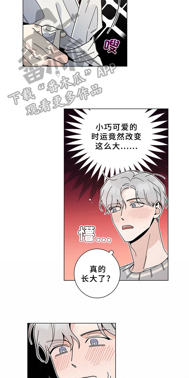 第13章：担心