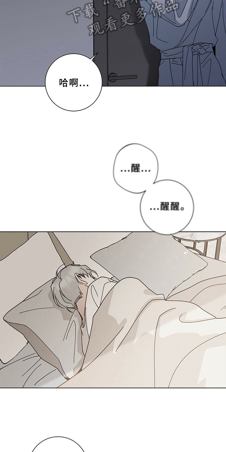 第14章：差异