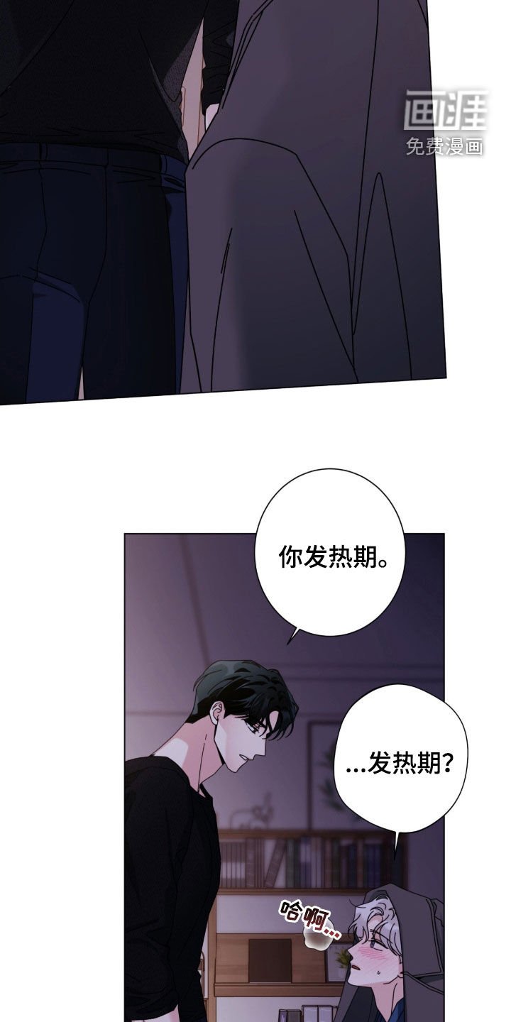 第160章：【番外】我需要你
