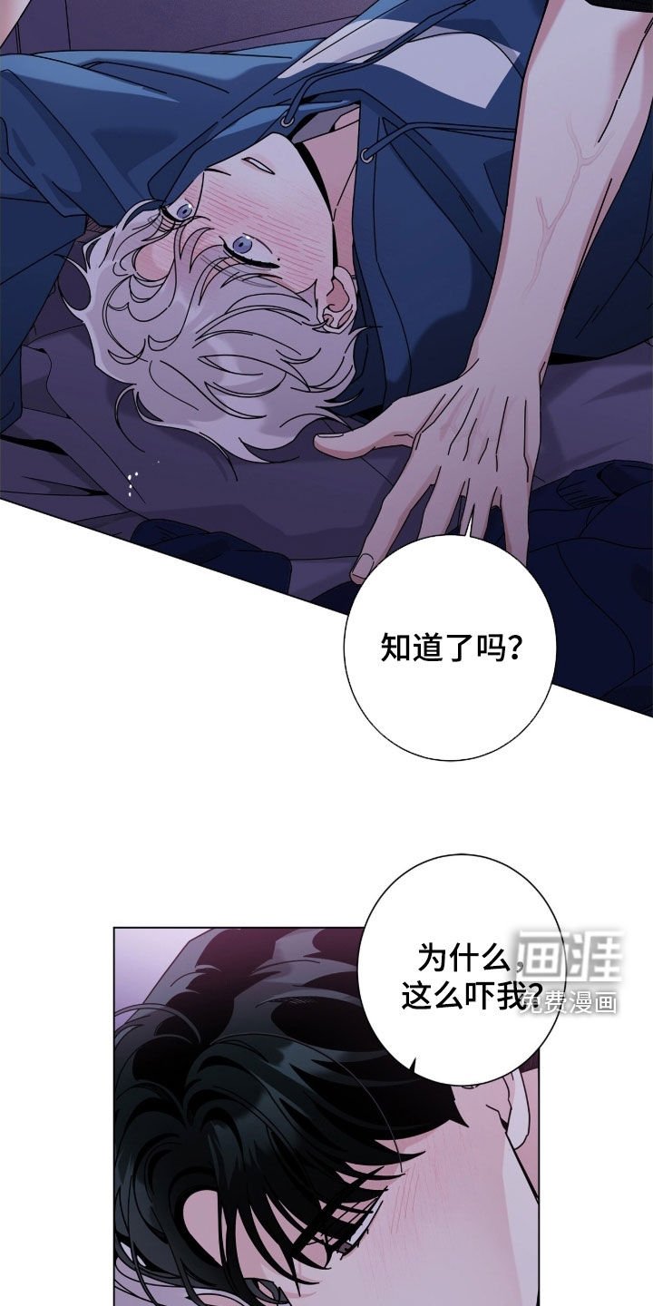 第161章：【番外】必须不一样
