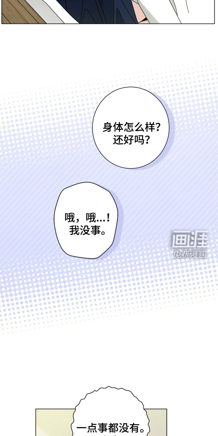 第162章：【番外完结】交往