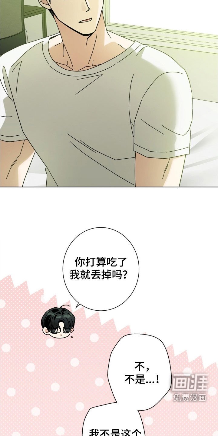 第162章：【番外完结】交往