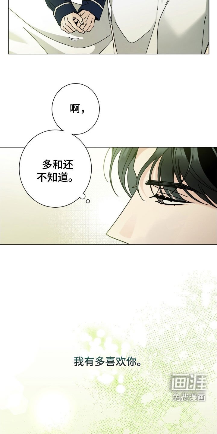 第162章：【番外完结】交往
