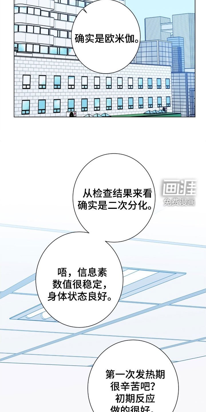 第162章：【番外完结】交往