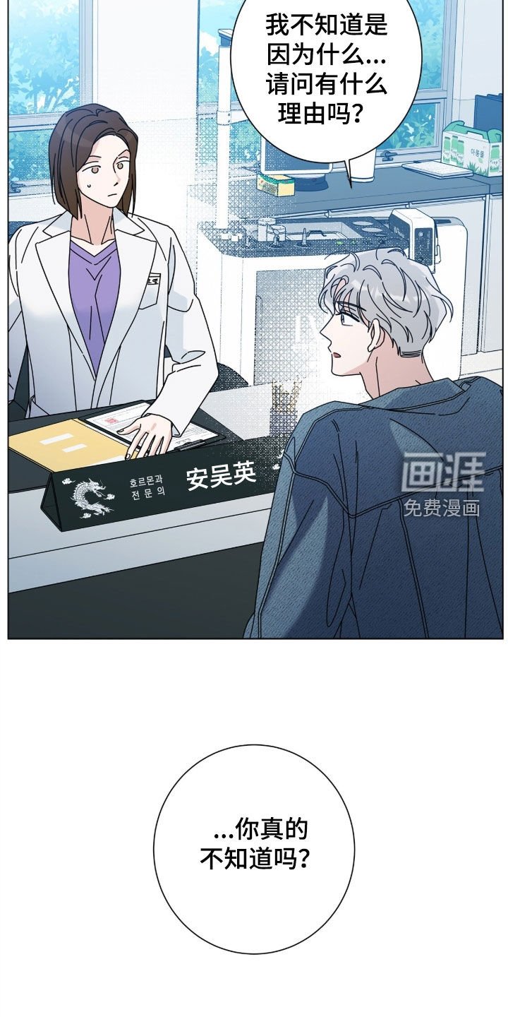 第162章：【番外完结】交往
