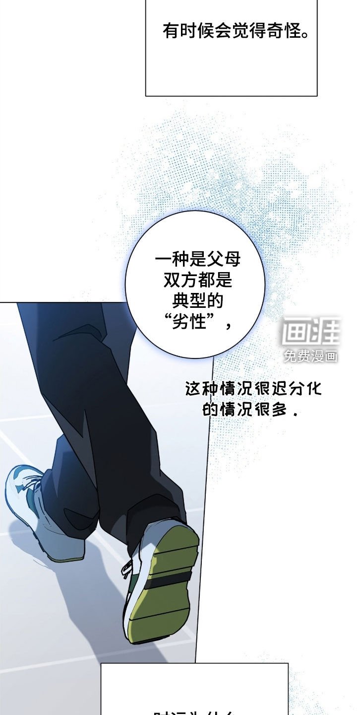 第162章：【番外完结】交往