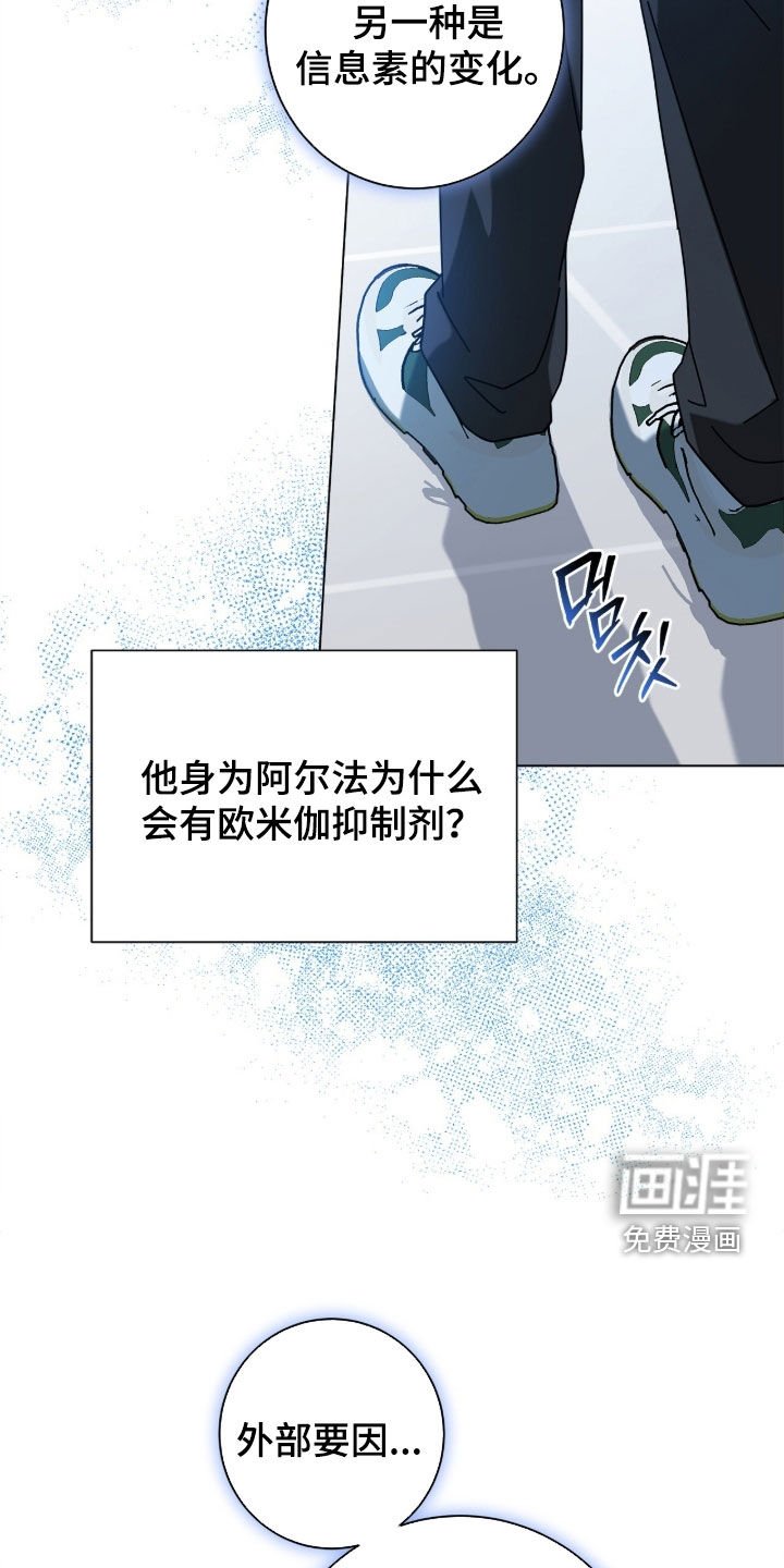 第162章：【番外完结】交往