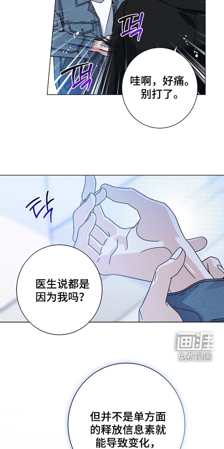 第162章：【番外完结】交往